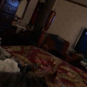 Meet your Posher, Janie